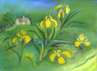 Yellow Flags at Pinbury - painting