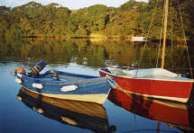 sailing boats off Bishops Quay, Helford River, Cornwall