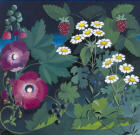 Hollyhock & feverfew