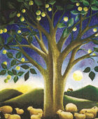 Sheep under an apple tree