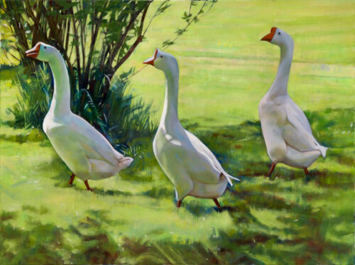 Three French geese - oil painting by Sarah Bryant