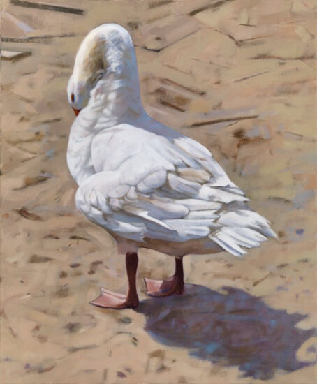 Preening goose - oil painting by Sarah Bryant