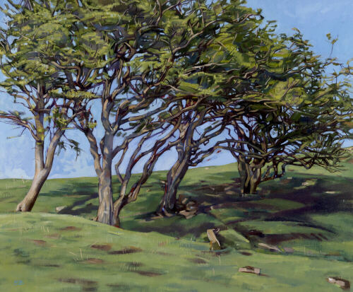 Trees above Blindcrake, Cumbria - oil painting by Sarah Bryant