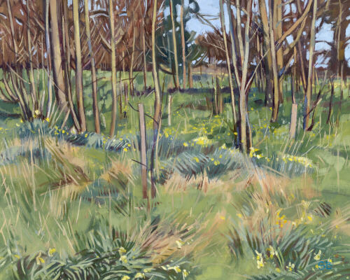 The Crow Park at Isel, Cumbria - oil painting by Sarah Bryant