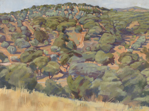 Olive trees in Spain - oil painting by Sarah Bryant
