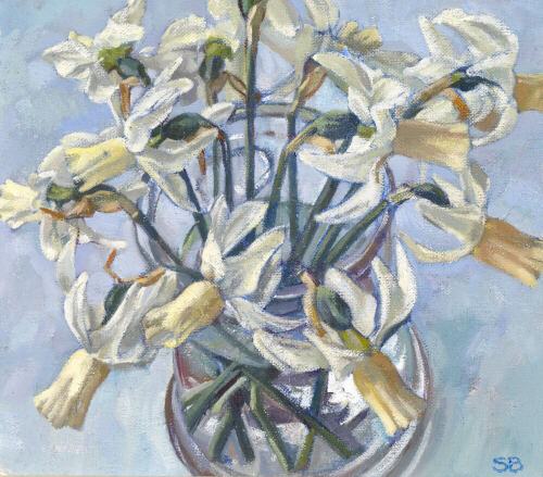 'February Silver' narcissus in a glass tankard - oil painting by Sarah Bryant